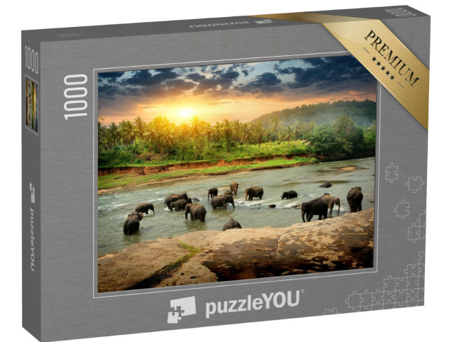 Puzzle 1000 Teile „Elefantenherde beim Baden im Dschungel von Sri Lanka“