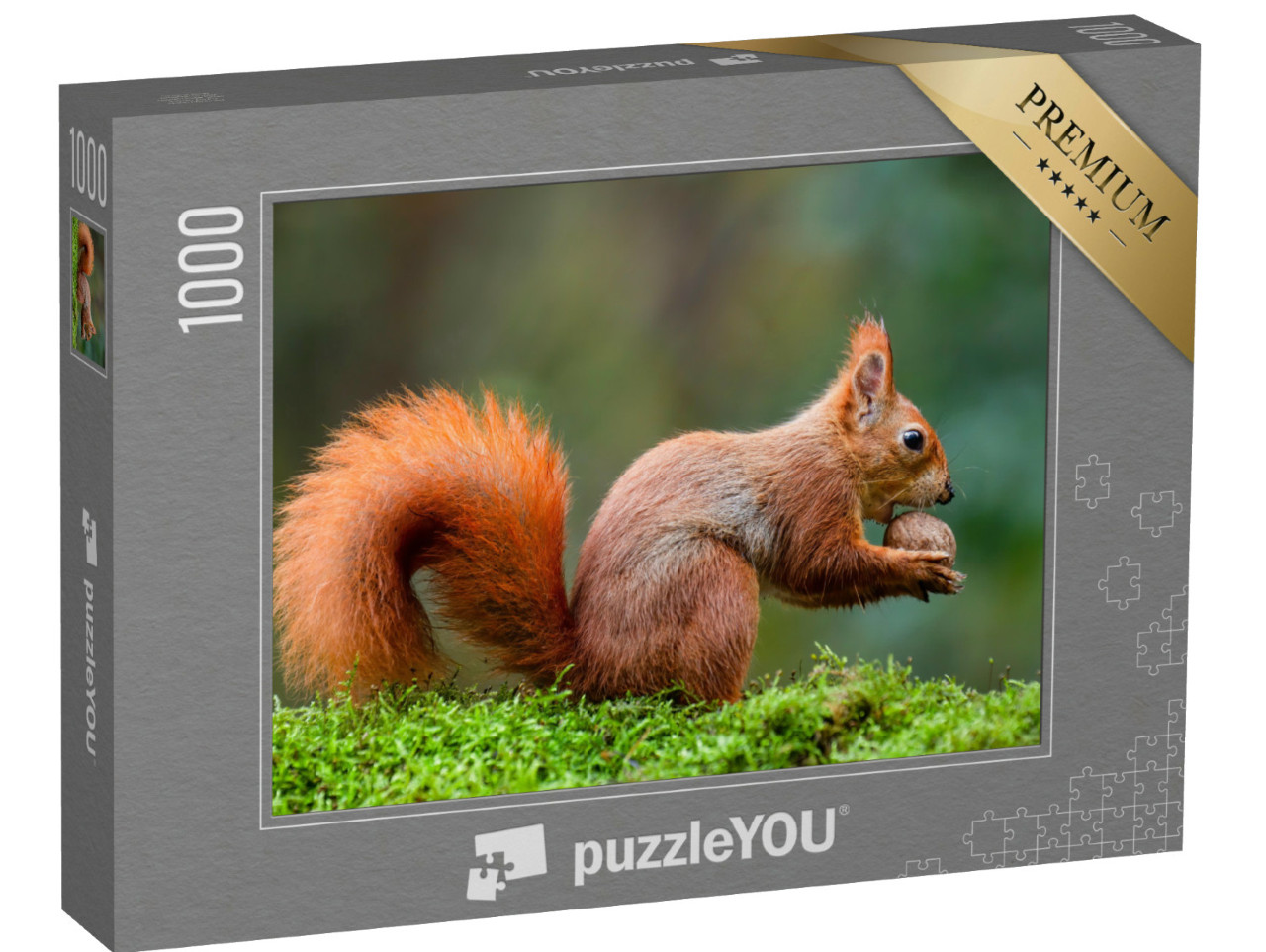 Puzzle 1000 Teile „Ein rotes Eichhörnchen frisst eine Nuss auf einem Moosstamm“