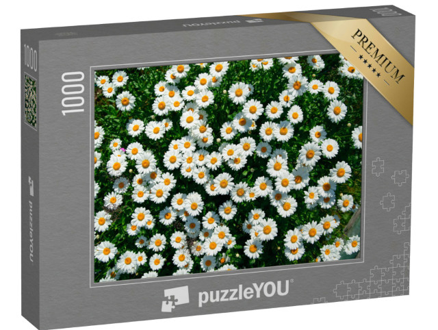 Puzzle 1000 Teile „Gänseblümchen auf dem Feld “