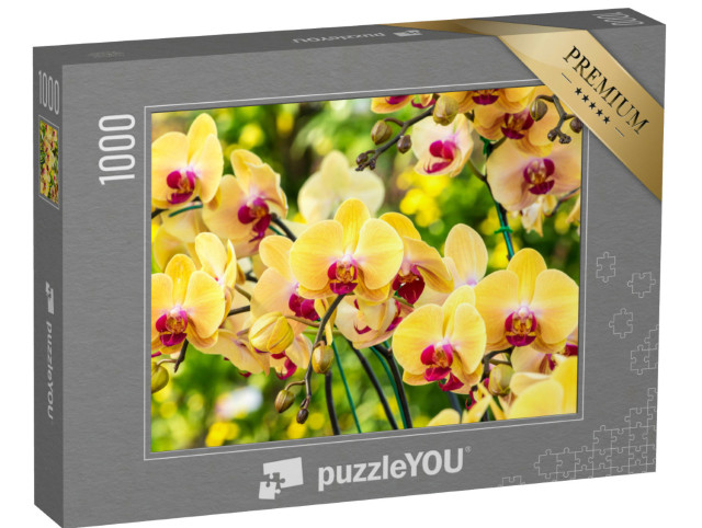 Puzzle 1000 Teile „Wunderschöne gelbe Orchidee“