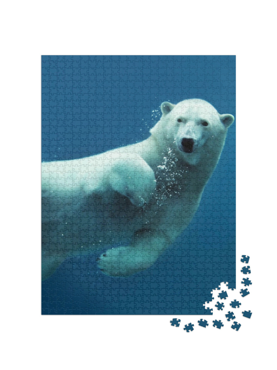 Puzzle 1000 Teile „Nahaufnahme eines schwimmenden Eisbären unter Wasser“