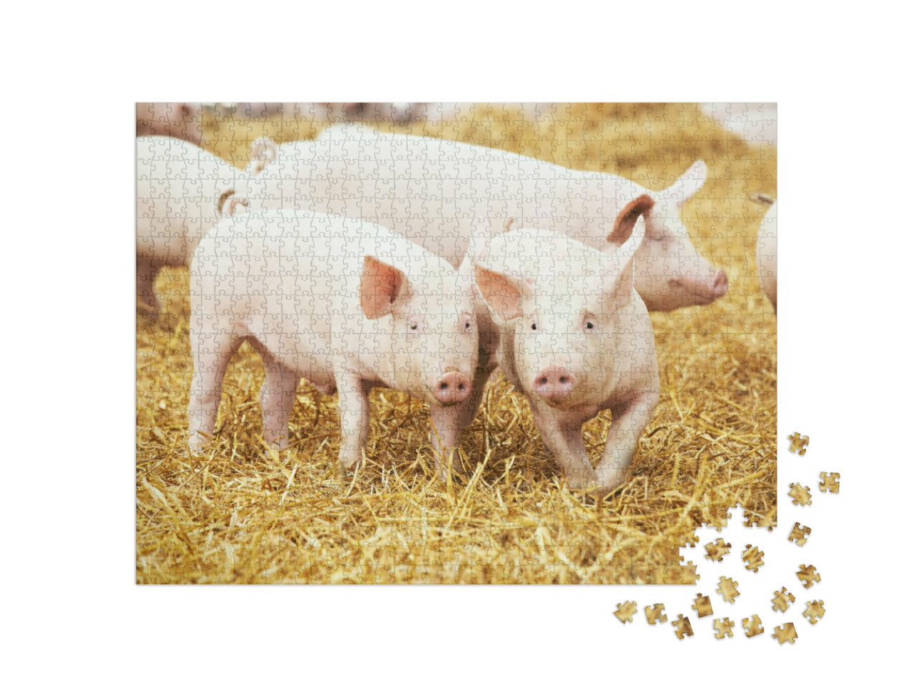 Puzzle 1000 Teile „Ferkel auf Heu und Stroh“