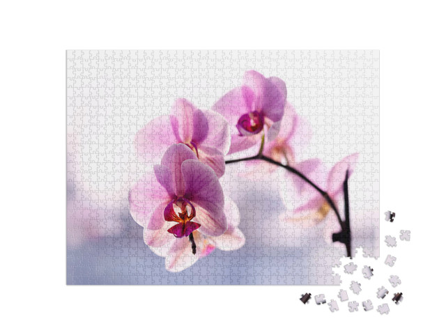 Puzzle 1000 Teile „Wunderschöne zarte Orchidee in Rosa“