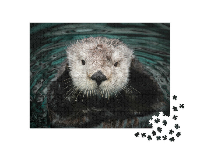 Puzzle 1000 Teile „Seeotter im Wasser“