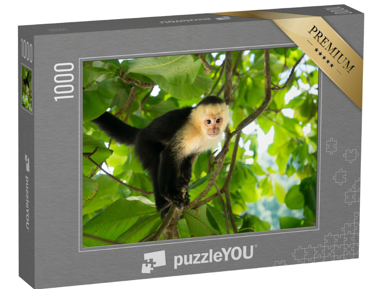 Puzzle 1000 Teile „Weißkopfkapuzineräffchen, Manuel Antonio, Regenwald von Costa Rica“