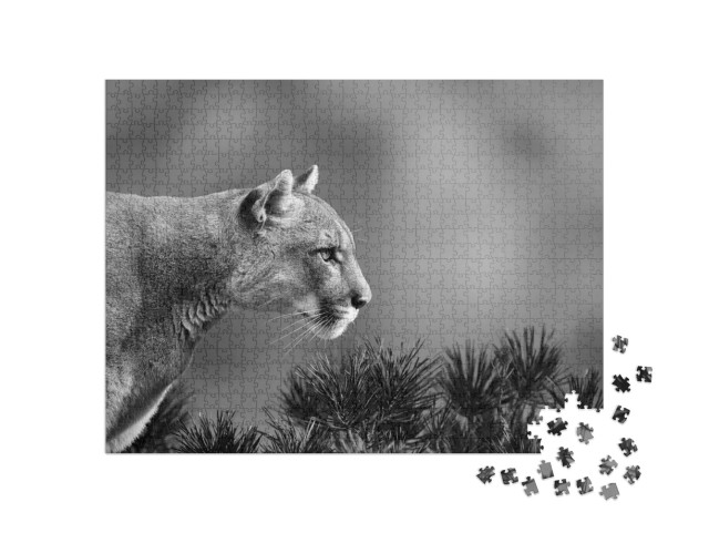 Puzzle 1000 Teile „Seitenportrait eines Pumas “