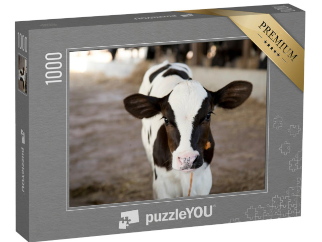 Puzzle 1000 Teile „Neugieriges kleines Kälbchen“