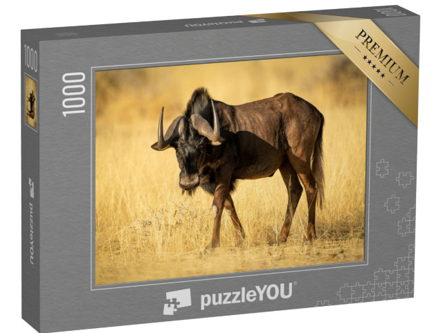 Puzzle 1000 Teile „Schwarzes Gnu im trockenen Steppengras“