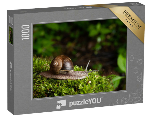 Puzzle 1000 Teile „Schnecke in ihrem natürlichen Lebensraum“