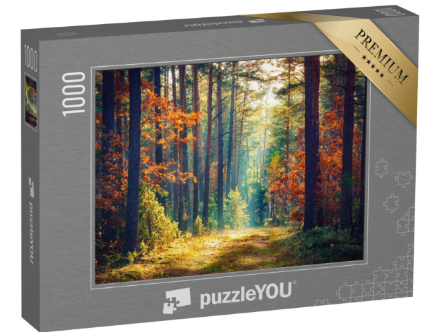 Puzzle 1000 Teile „Sonniger Herbstwald“