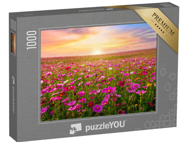 Puzzle 1000 Teile „Kosmeenfeld im Sonnenuntergang“