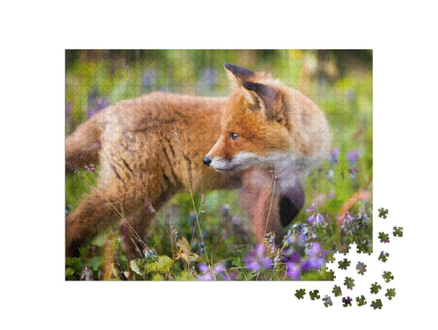 Puzzle 1000 Teile „Neugieriges Rotfuchsjunges in einer Blumenwiese“