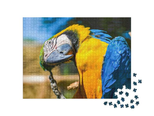 Puzzle 1000 Teile „Blau-gelber Ara“