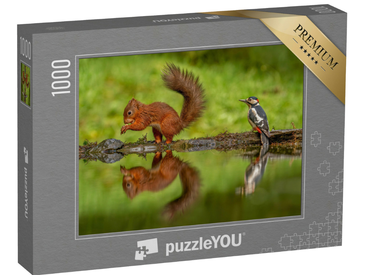 Puzzle 1000 Teile „Rotes Eichhörnchen und ein Buntspecht“