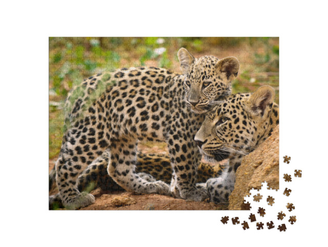 Puzzle 1000 Teile „Leopardenmama und ihr Junges“