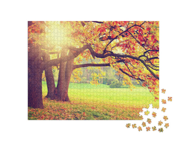 Puzzle 1000 Teile „Herbstlandschaft mit alten Bäumen“