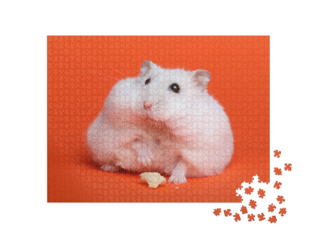 Puzzle 1000 Teile „Fluffiger weißer Hamster “