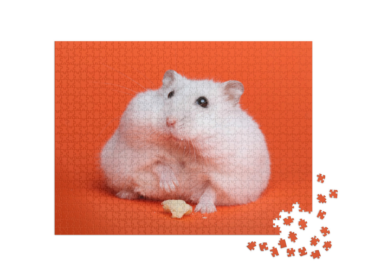 Puzzle 1000 Teile „Fluffiger weißer Hamster “