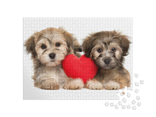 Puzzle 1000 Teile „Havaneser Welpen“