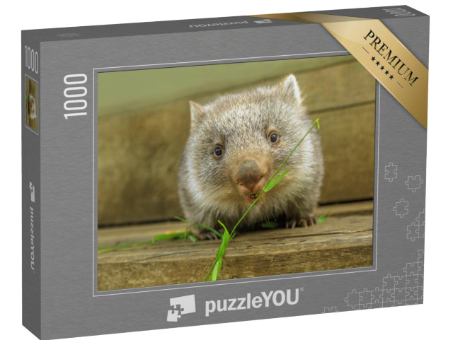 Puzzle 1000 Teile „Niedliches Wombat-Jungtier bei der Nahrungsaufnahme“