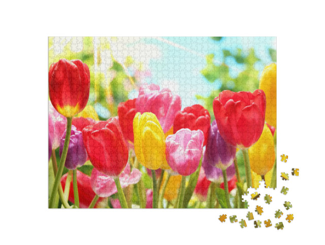 Puzzle 1000 Teile „Bunte Tulpen im warmen Sonnenlicht“