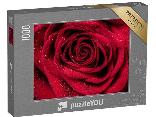 Puzzle 1000 Teile „Rote Rosenblüten“