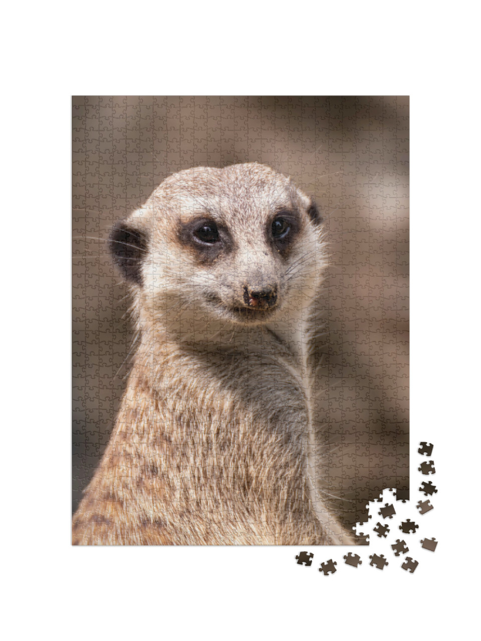 Puzzle 1000 Teile „Erdmännchen auf der Wache“