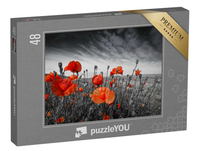 Puzzle 48 Teile „Mohnblumen auf einer Wiese“