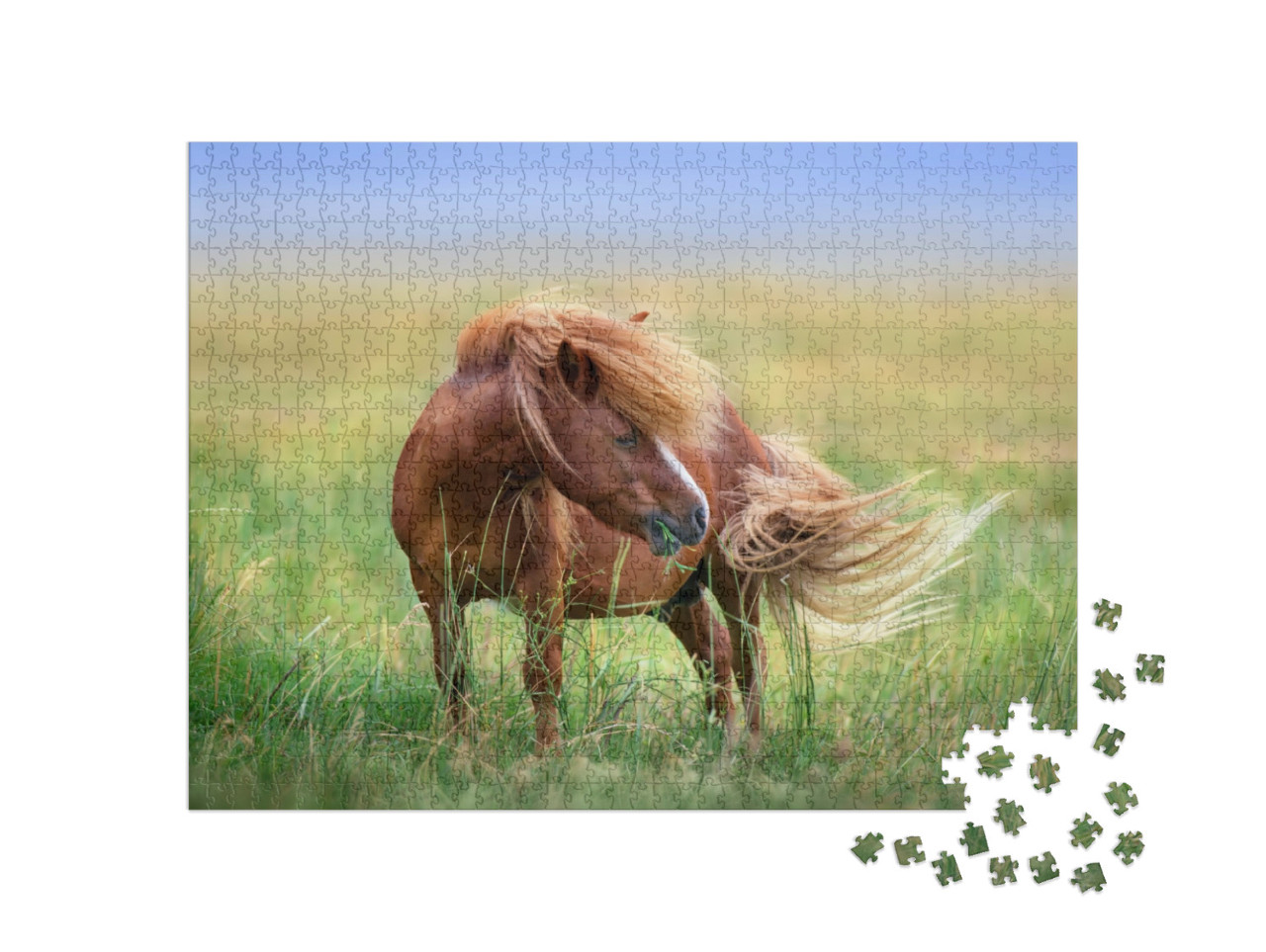 Puzzle 1000 Teile „Pony auf der Weide im Frühlingswind“