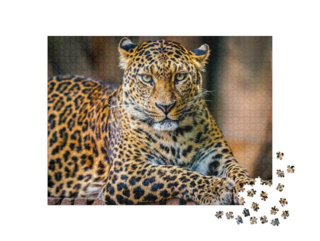 Puzzle 1000 Teile „Porträt eines Leoparden“