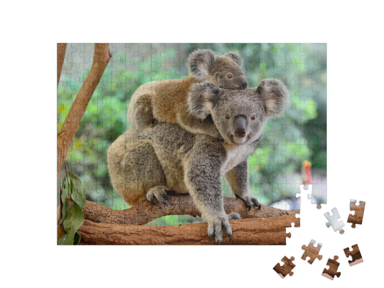 Puzzle 200 Teile „Koala-Mutter mit Baby auf dem Rücken auf einem Eukalyptusbaum“