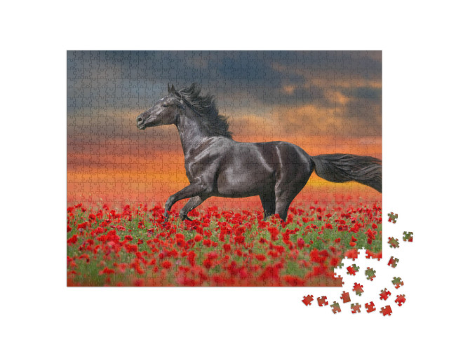 Puzzle 1000 Teile „Schwarzes Pferd in roten Mohnblumen“