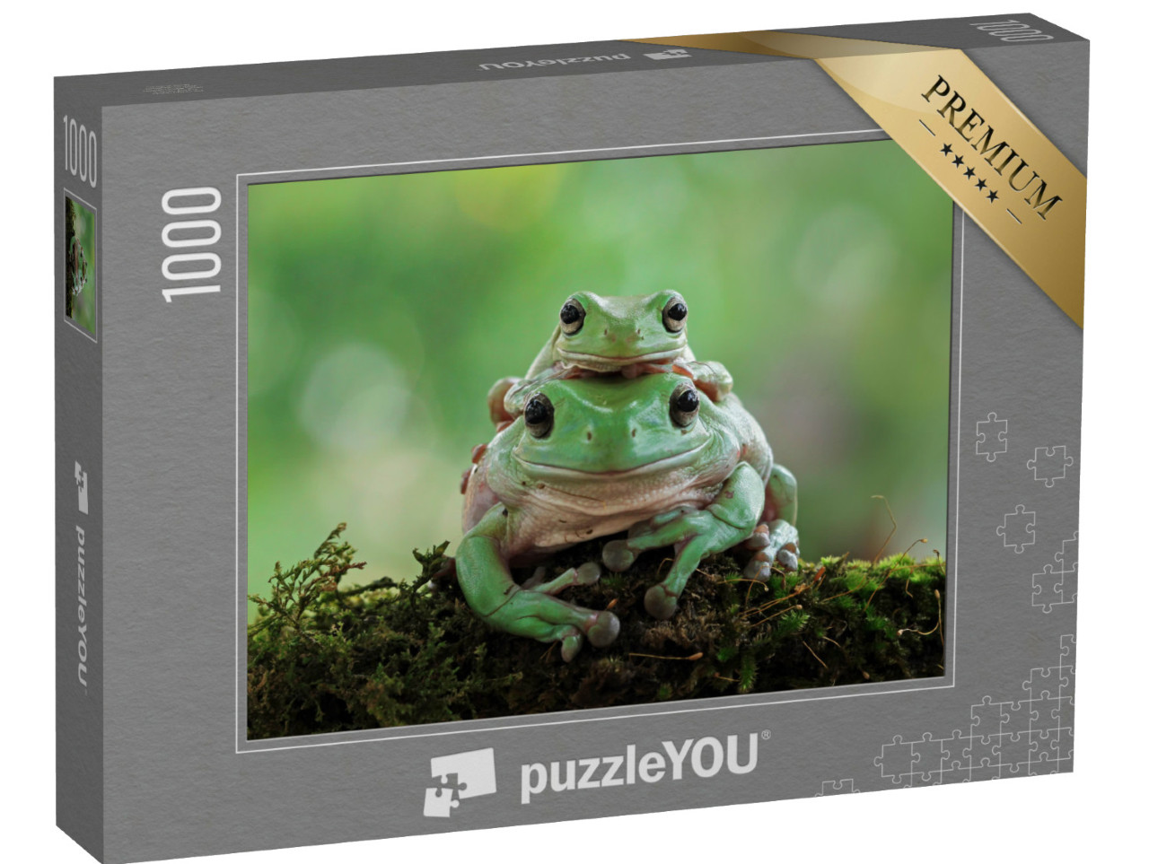 Puzzle 1000 Teile „Weiblicher weißer Laubfrosch mit Jungtier “