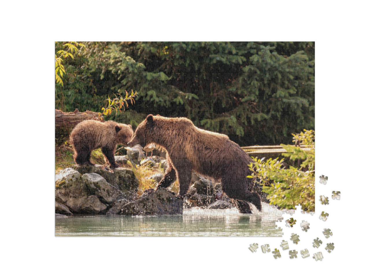 Puzzle 1000 Teile „Bärenmutter beim Fischen mit ihren Jungen, Alaska“
