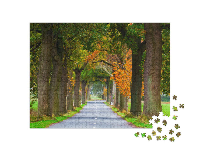 Puzzle 1000 Teile „Herbstliche Baumallee im Lieper Winkel, Usedom, Deutschland“