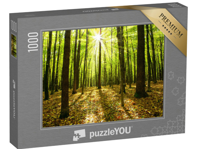 Puzzle 1000 Teile „Herbstwald mit Bäumen und Sonnenlicht“