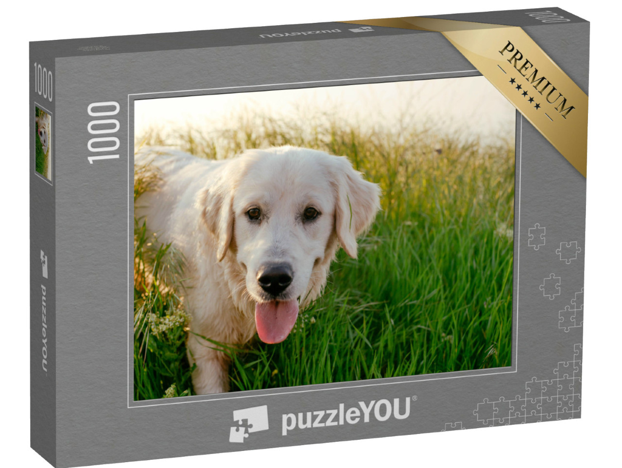 Puzzle 1000 Teile „Labrador Retriever beim Spziergang durch eine Wiese“
