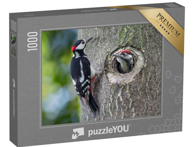 Puzzle 1000 Teile „Buntspecht-Nest mit Vater und Sohn“