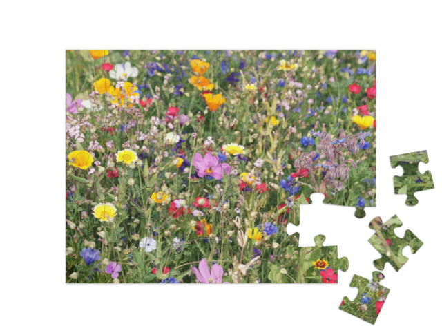 Puzzle 48 Teile „Eine bunte Wiese mit Wildblumen“