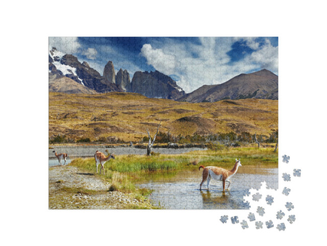 Puzzle 1000 Teile „Guanako im Torres del Paine National Park, Patagonien, Chile“