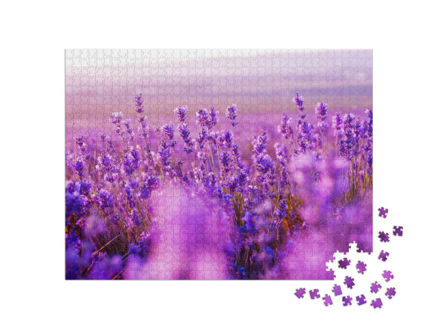 Puzzle 1000 Teile „Wunderschönes Lavendelfeld im Sommer“