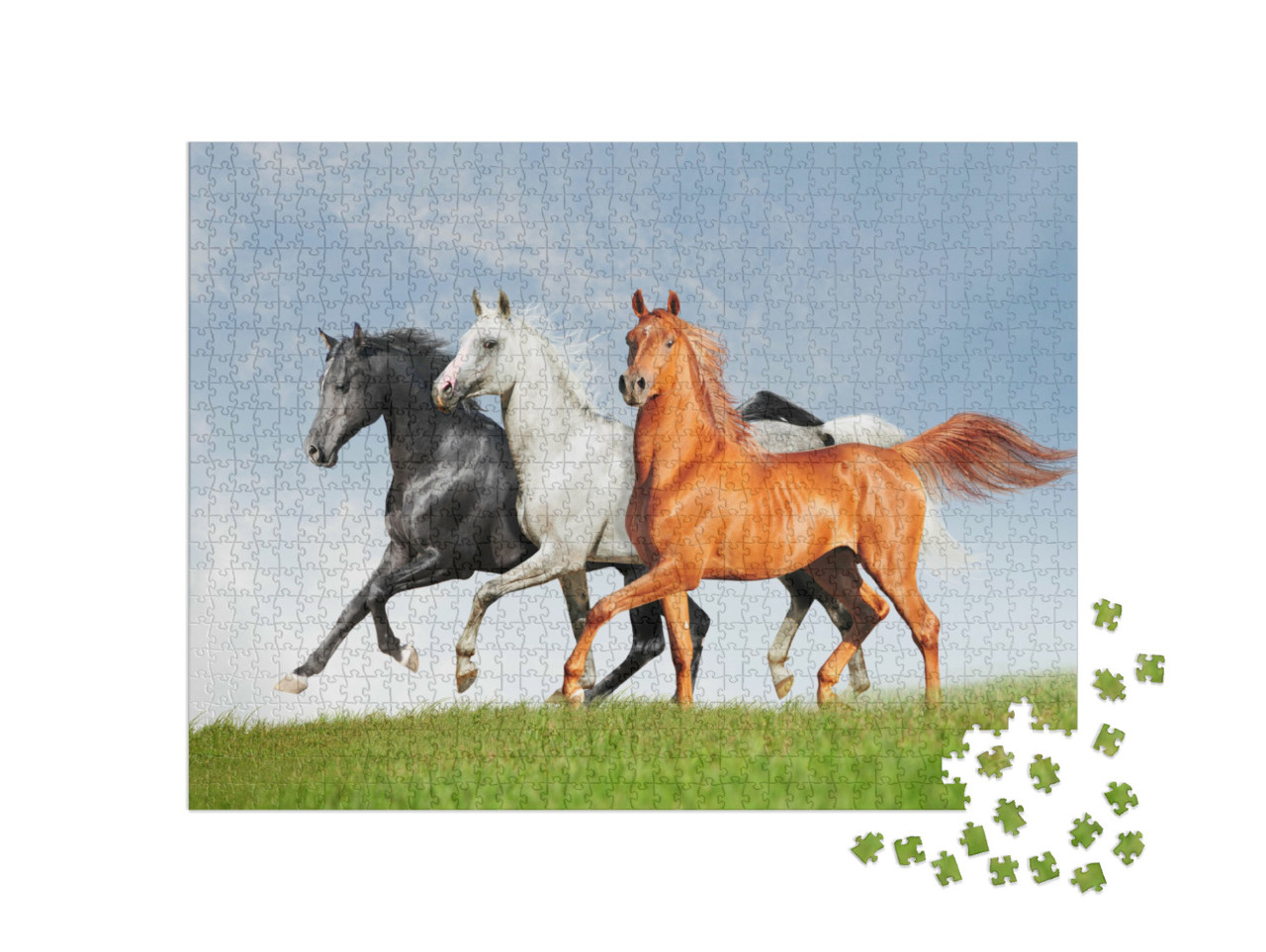 Puzzle 1000 Teile „Drei Araber-Pferde“