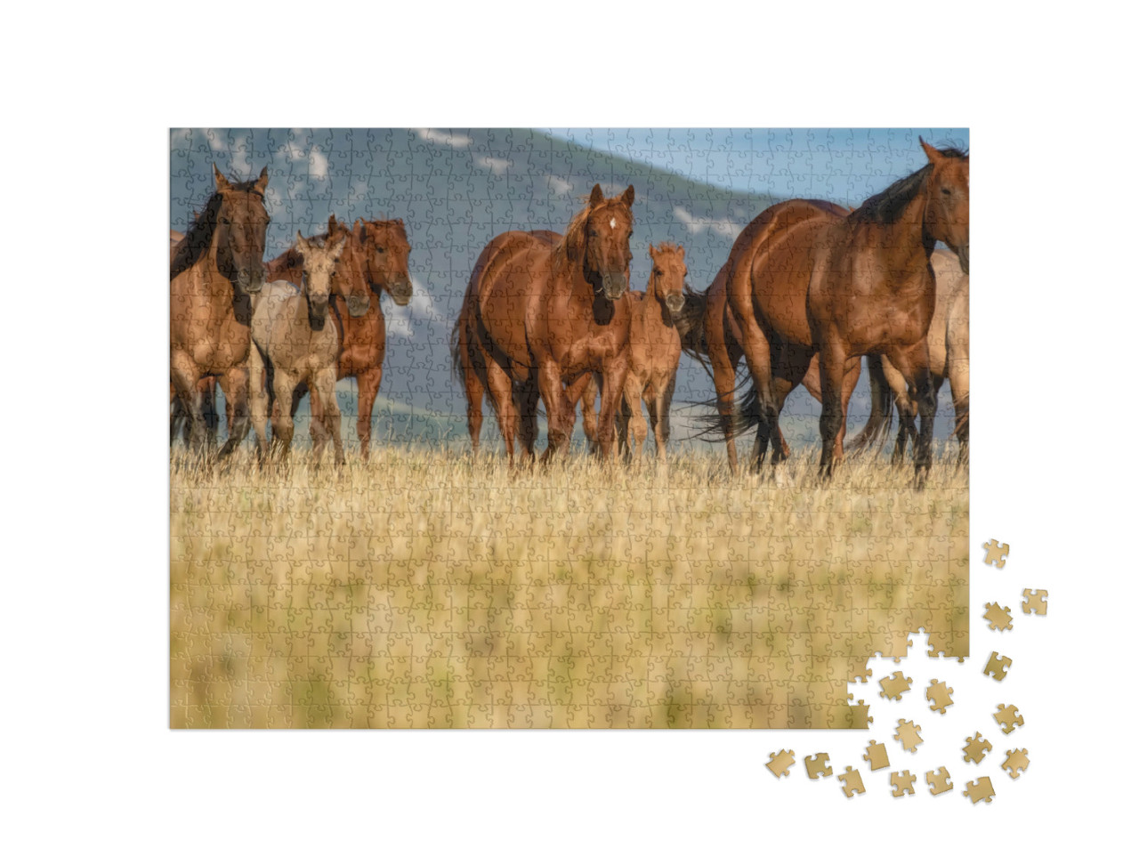 Puzzle 1000 Teile „Quarter Horse-Herde auf einer Grasebene vor den Pryor Mountains, Montana“