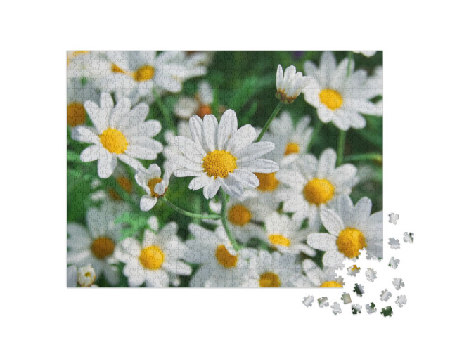 Puzzle 1000 Teile „Wunderschöne Frühlingsblumen“