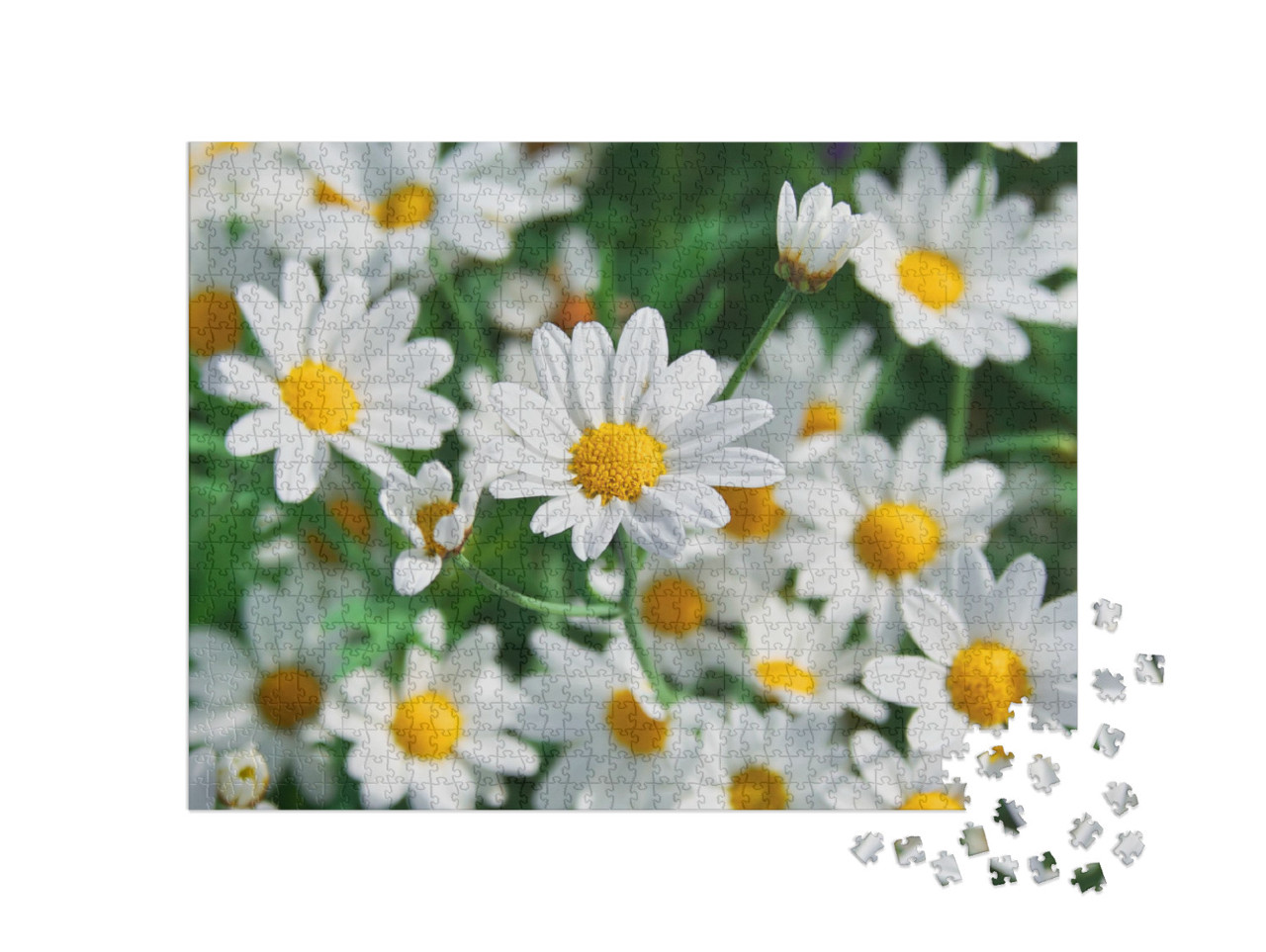 Puzzle 1000 Teile „Wunderschöne Frühlingsblumen“
