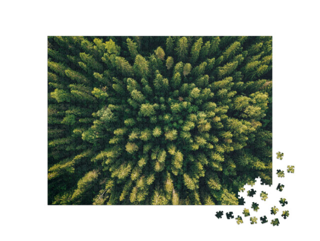 Puzzle 1000 Teile „Vogelperspektive auf einen Nadelwald“