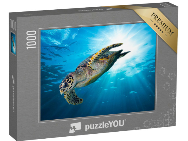 Puzzle 1000 Teile „Falkenschnabel Meeresschildkröte im tiefblauen Ozean“
