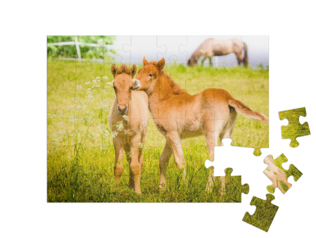 Puzzle 48 Teile „Spielende Fohlen auf der Wiese“