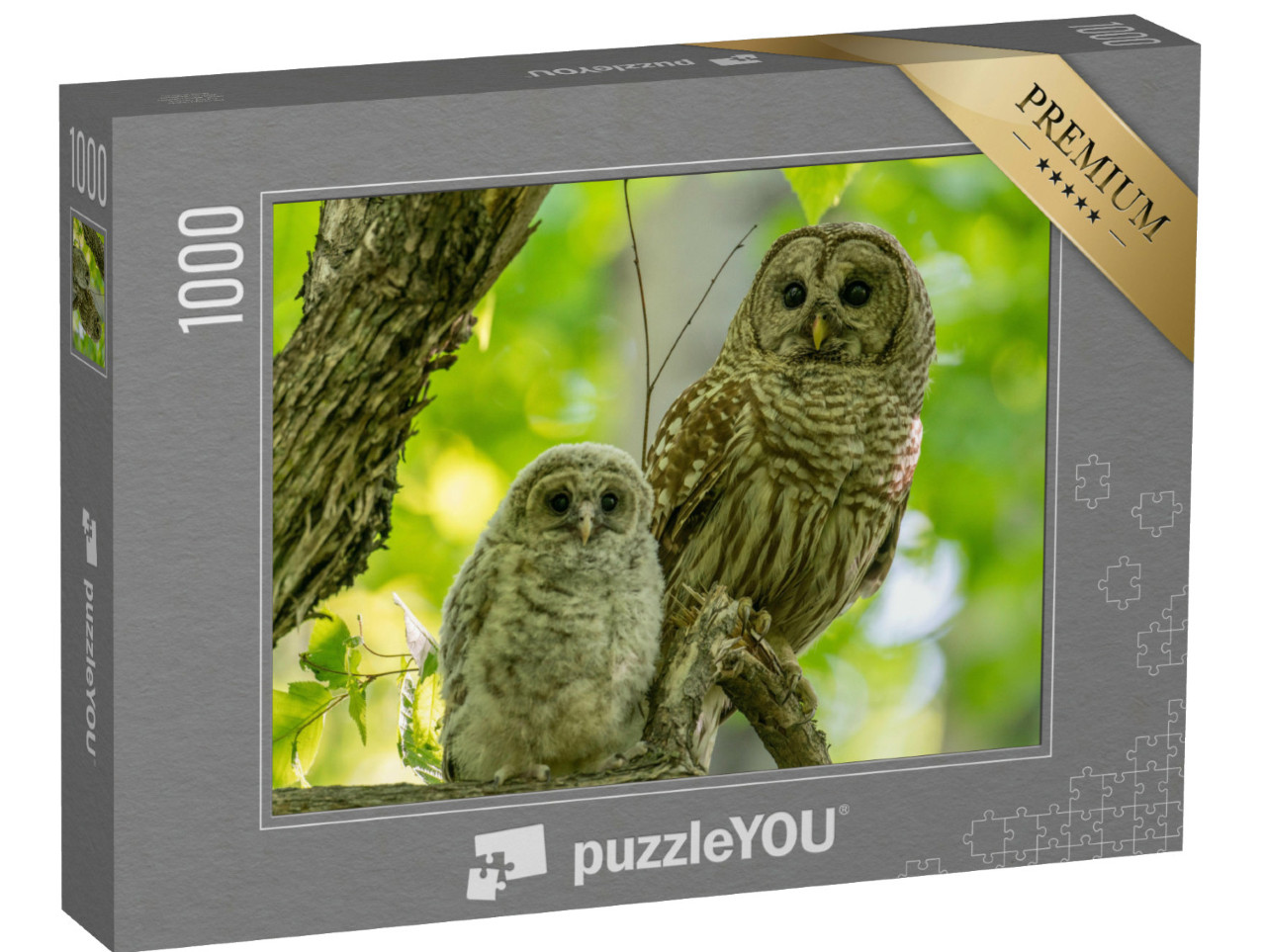 Puzzle 1000 Teile „Erwachsene und junge Sperbereulen sitzen im Frühsommer auf einem Ast, Kanada“
