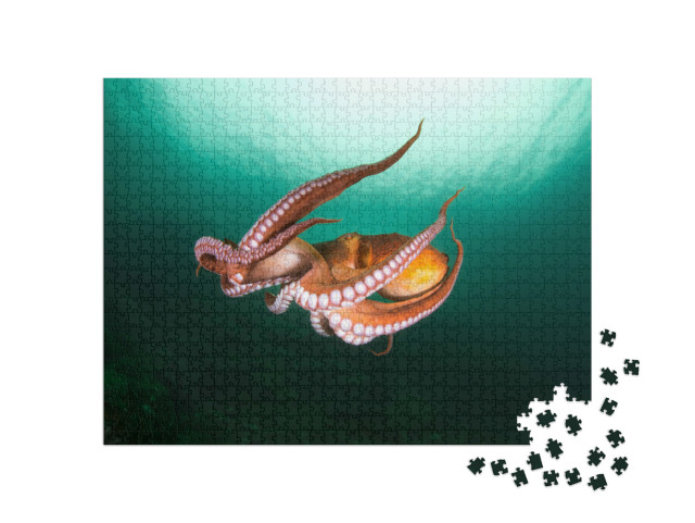 Puzzle 1000 Teile „Flug der Tintenfische in der Tiefsee“
